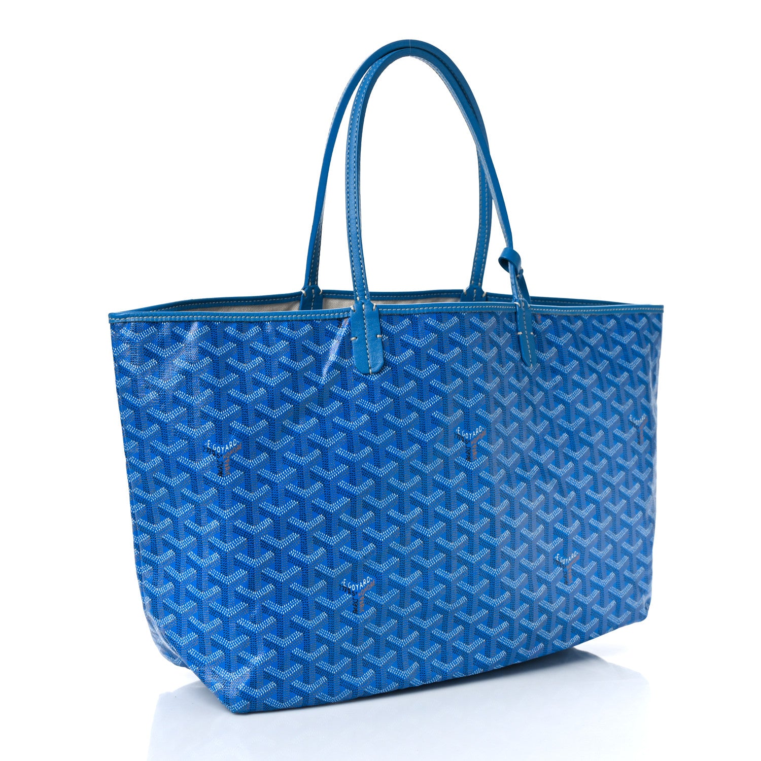Goyard Goyardine Saint Louis PM Sky Blue 3 of 7