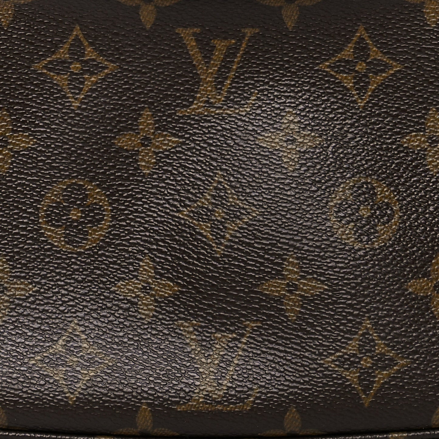Monogram Pochette Accessories