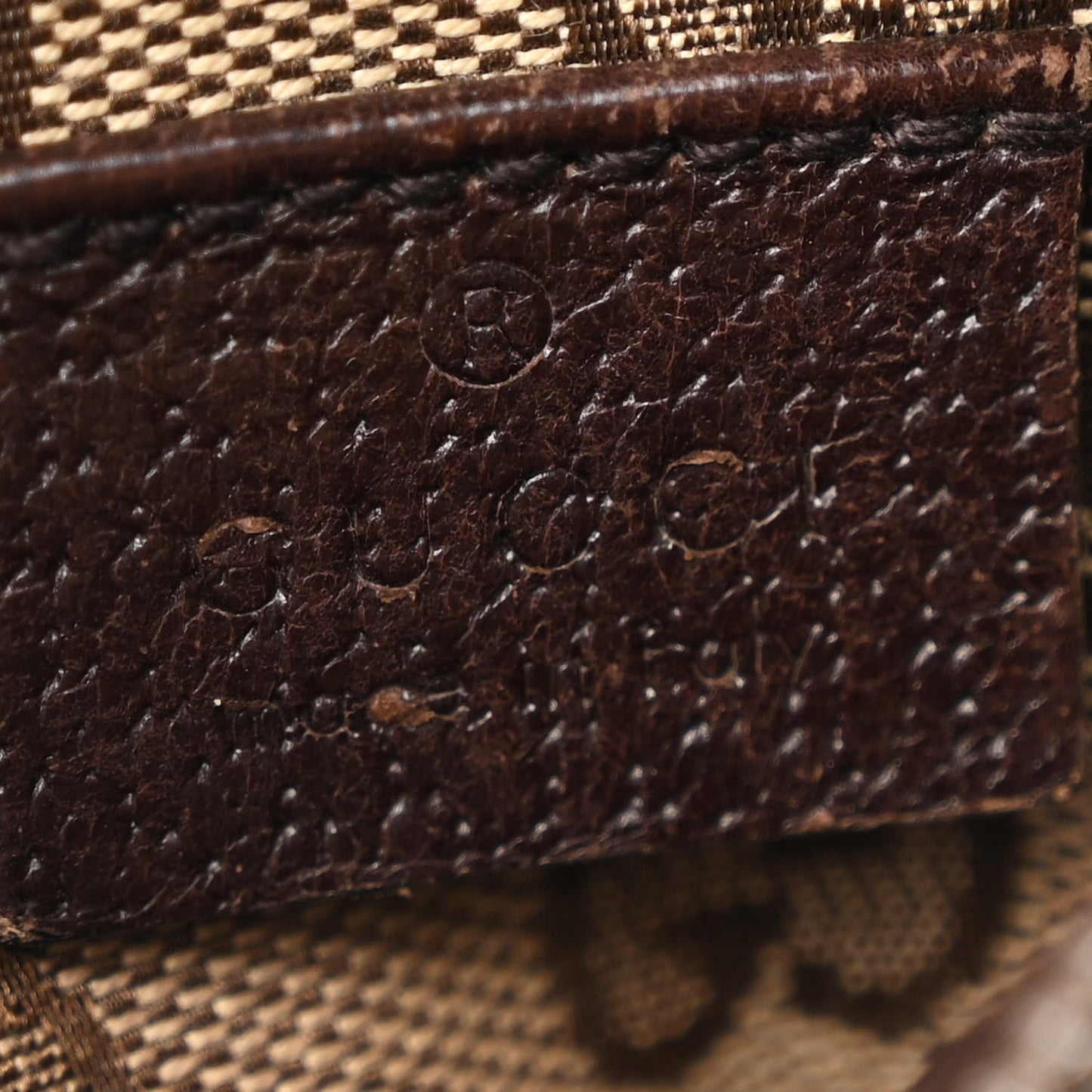 Monogram Web Belt Bag Dark Brown