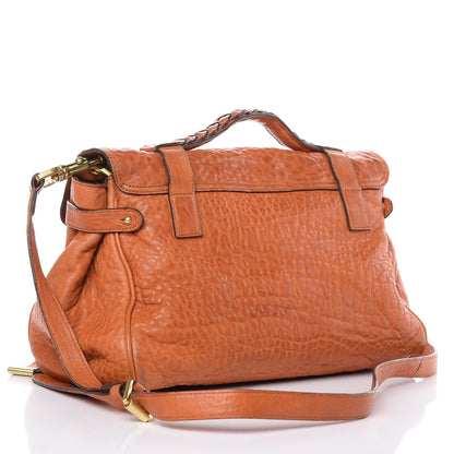 Mulberry Large Grain Nappa Medium Alexa Pumpkin 3 of 22