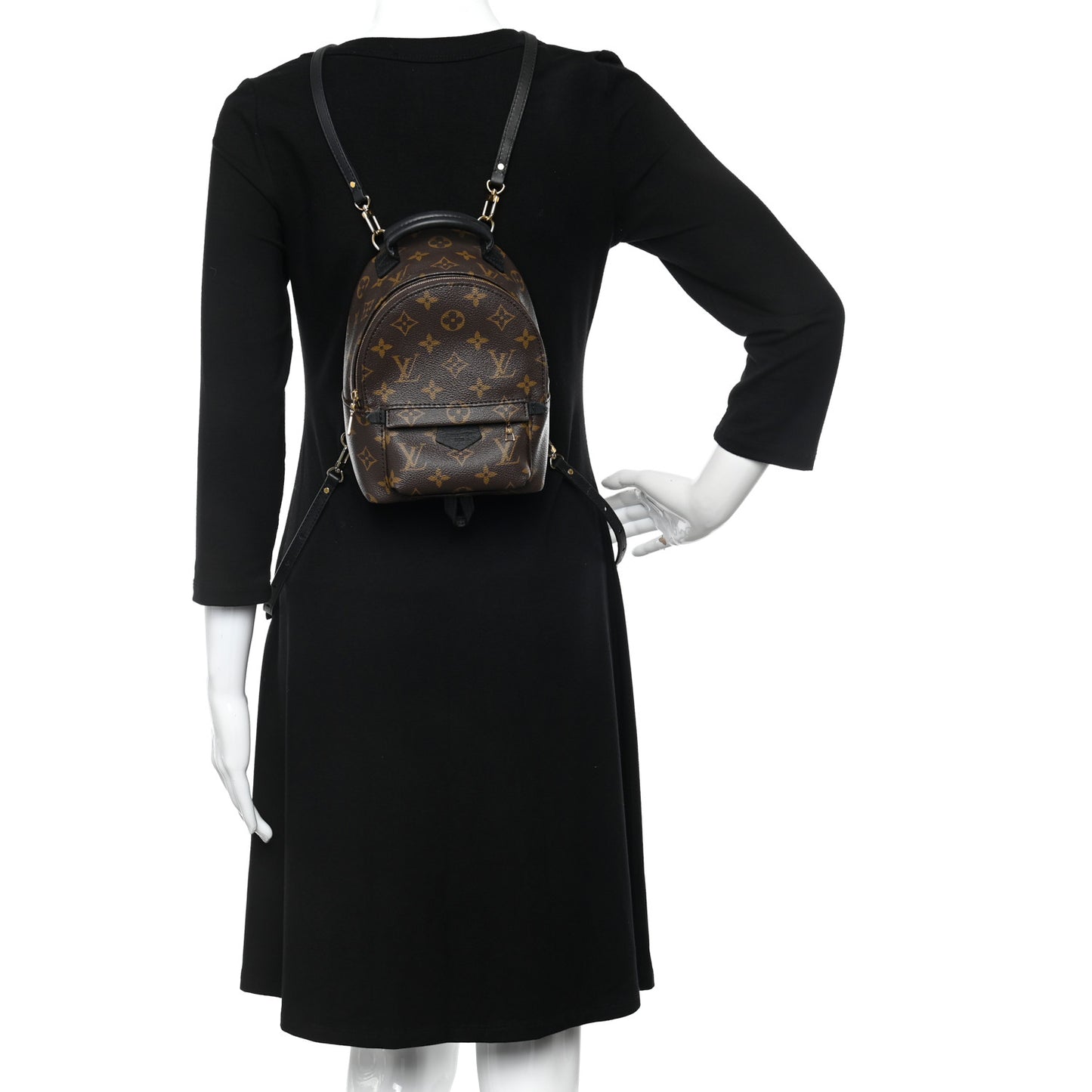 Monogram Palm Springs Backpack Mini