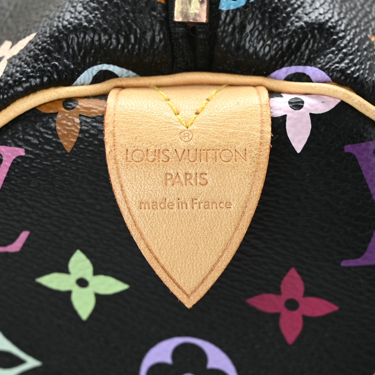 Monogram Multicolor Speedy 30 Black