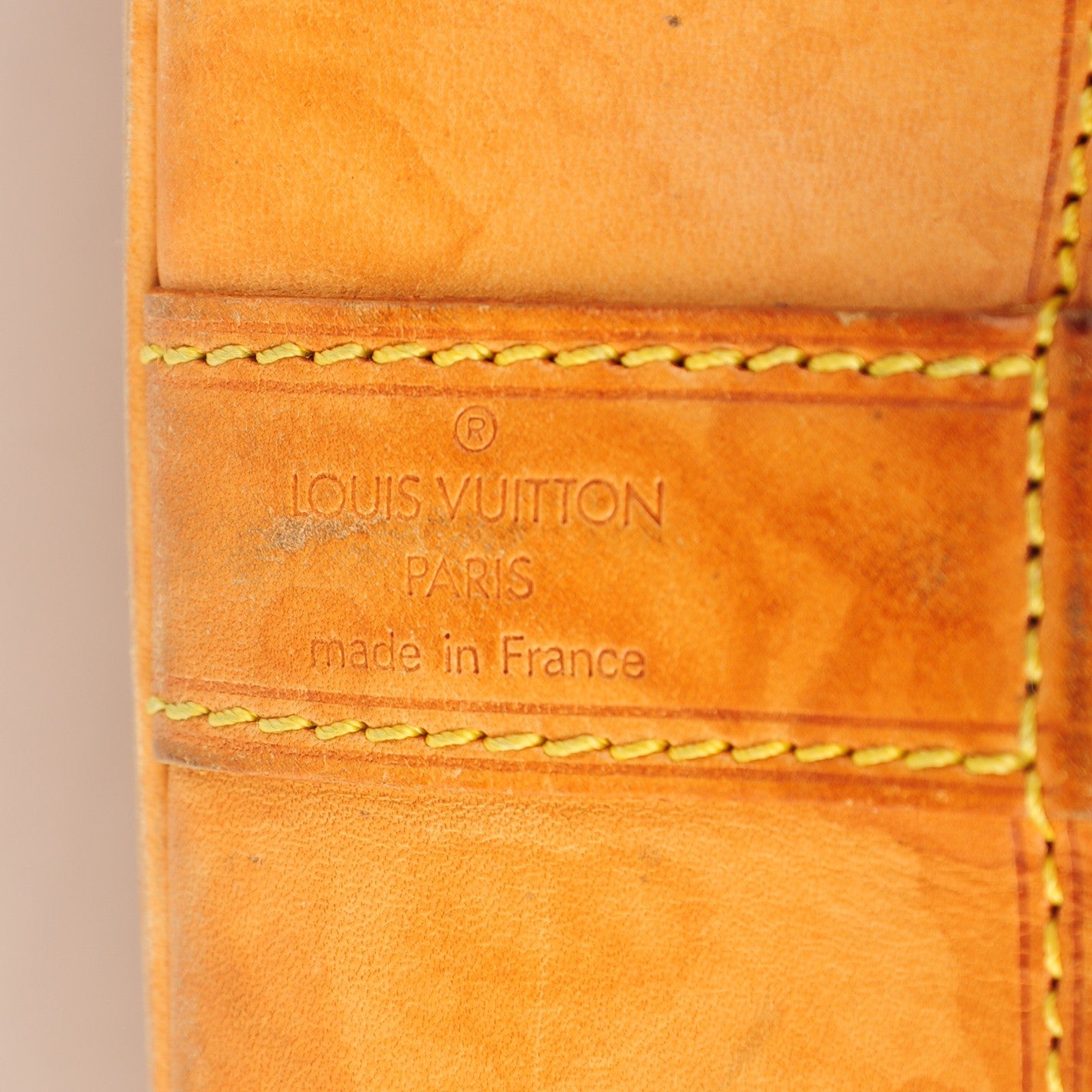 Monogram Randonnee PM
