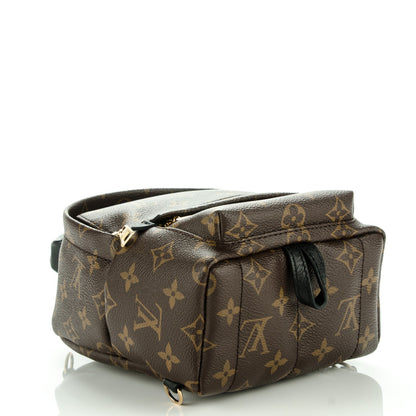 Louis Vuitton Monogram Palm Springs Backpack Mini 4 of 9