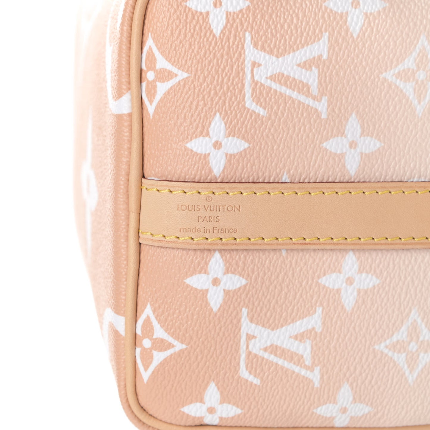 Monogram Giant By The Pool Speedy Bandouliere 25 Brume