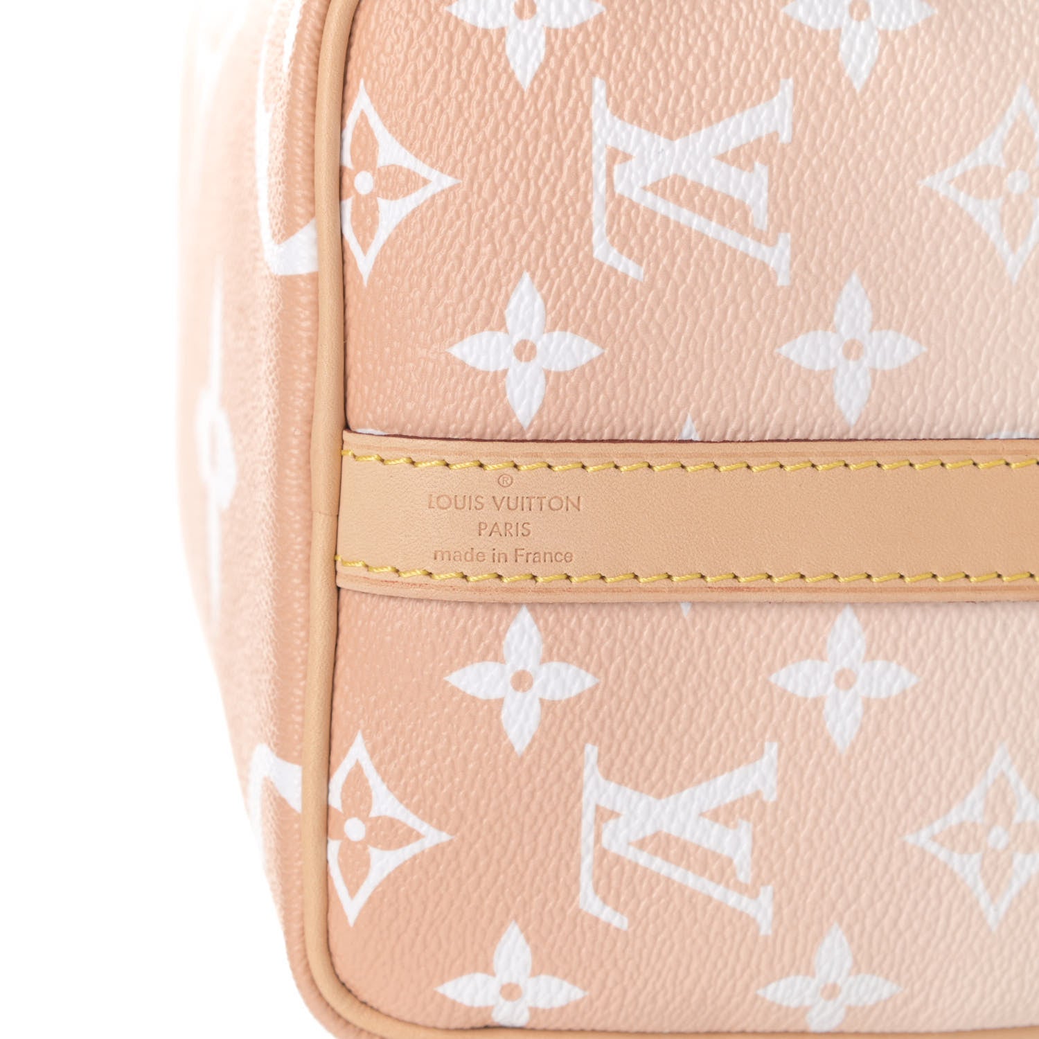 Louis Vuitton Monogram Giant By The Pool Speedy Bandouliere 25 Brume 7 of 10