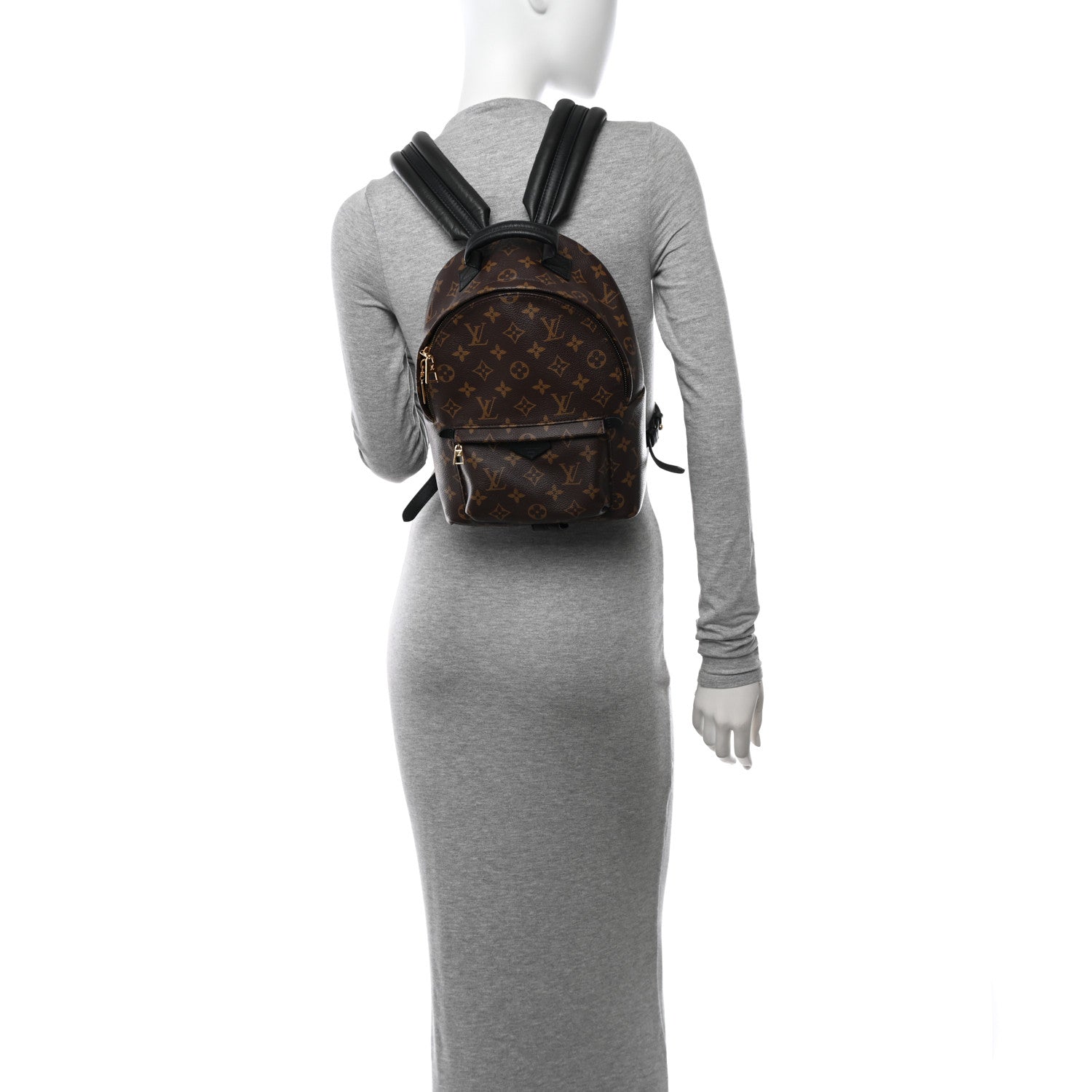 Louis Vuitton Monogram Palm Springs Backpack PM 2 of 14