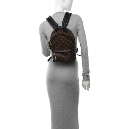 Louis Vuitton Monogram Palm Springs Backpack PM 2 of 14