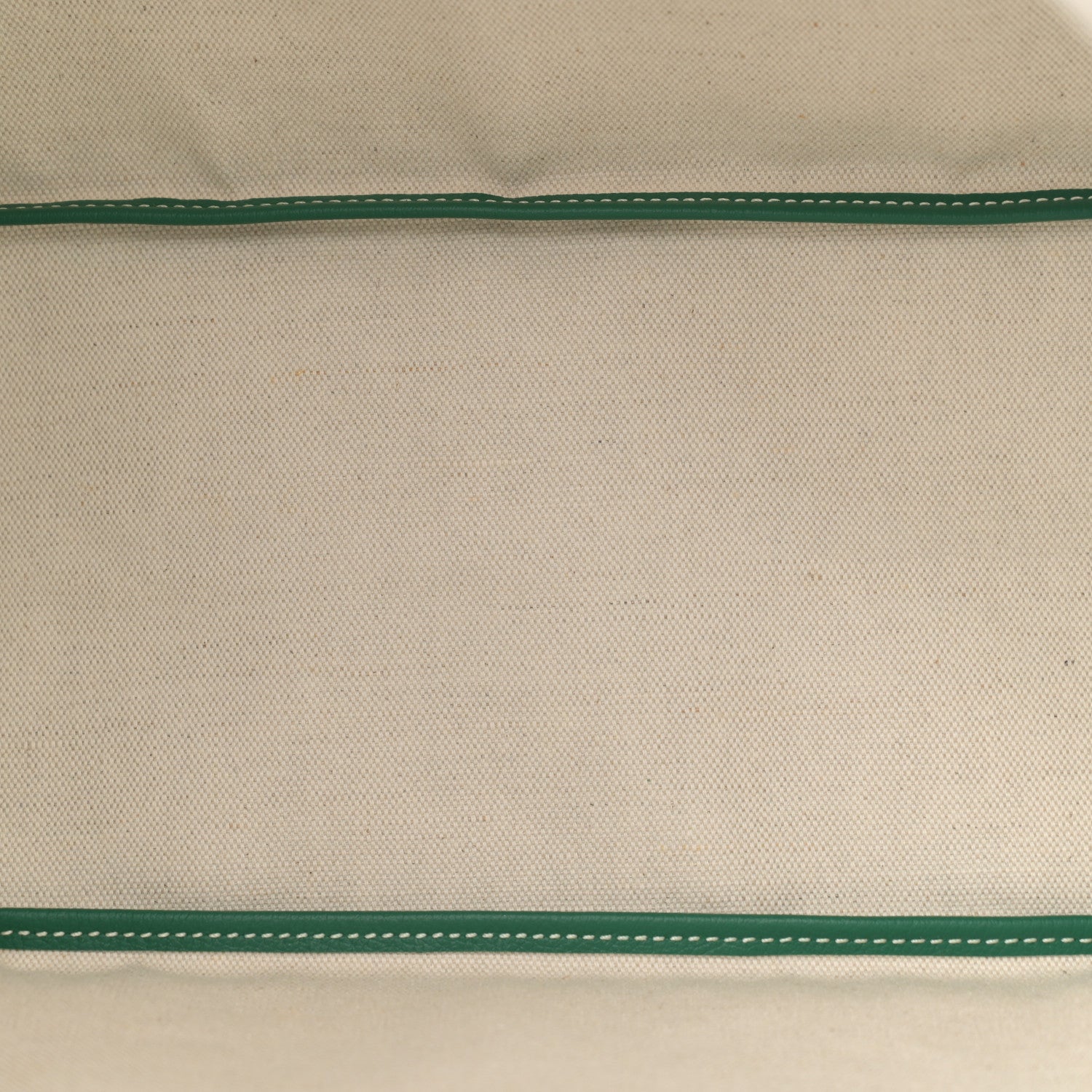 Goyard Goyardine Saint Louis PM Green 6 of 11