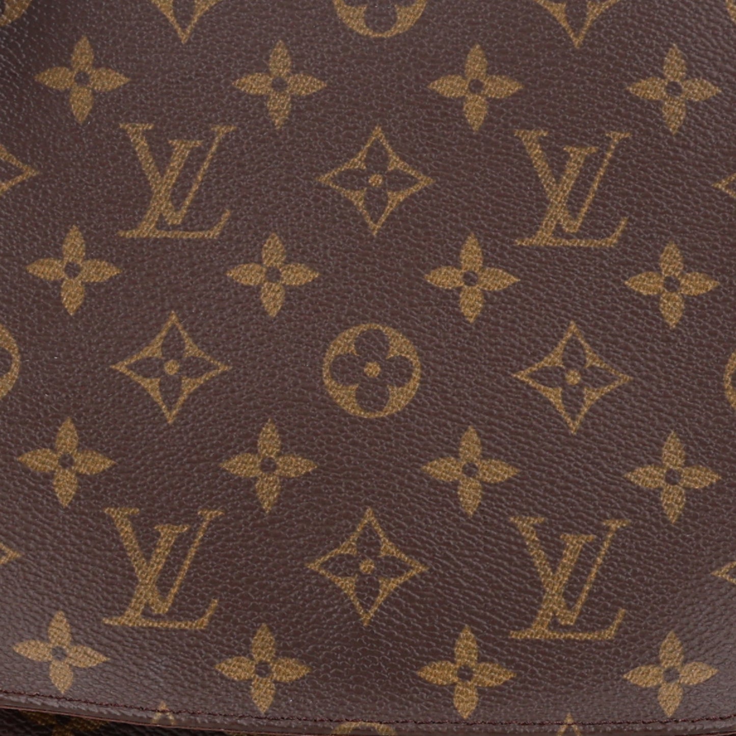 Monogram Musette Salsa