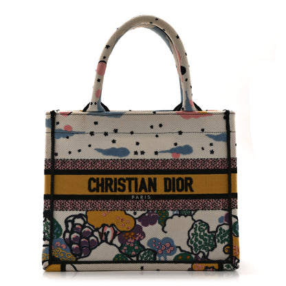 Christian Dior Canvas Embroidered Ciel De Reve Small Book Tote Latte Multicolor 1 of 10