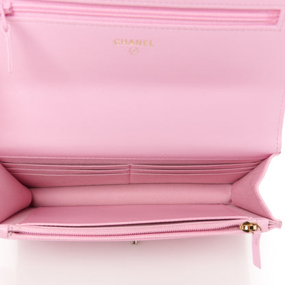 Chanel Lambskin Quilted Chanel 19 Wallet On Chain WOC Pink 4 of 11