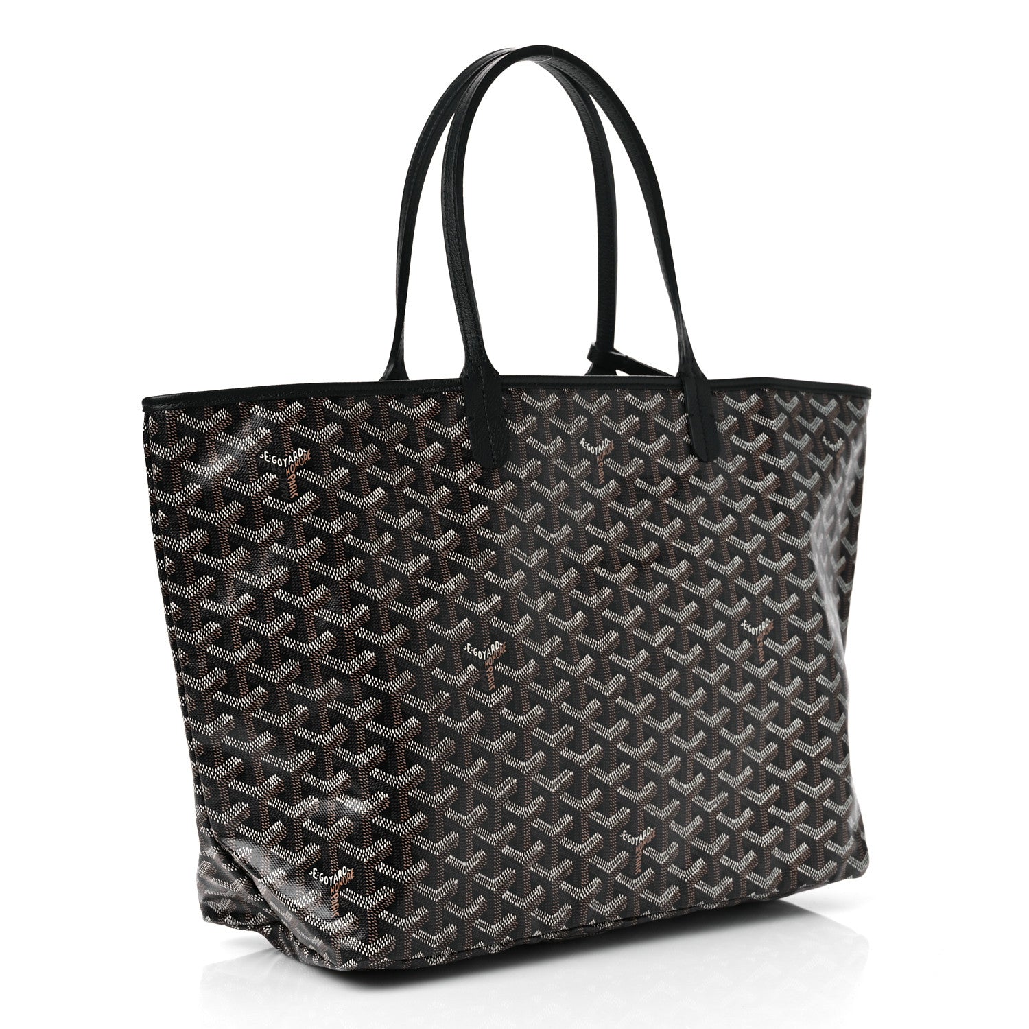Goyard Goyardine Saint Louis PM Black 4 of 11