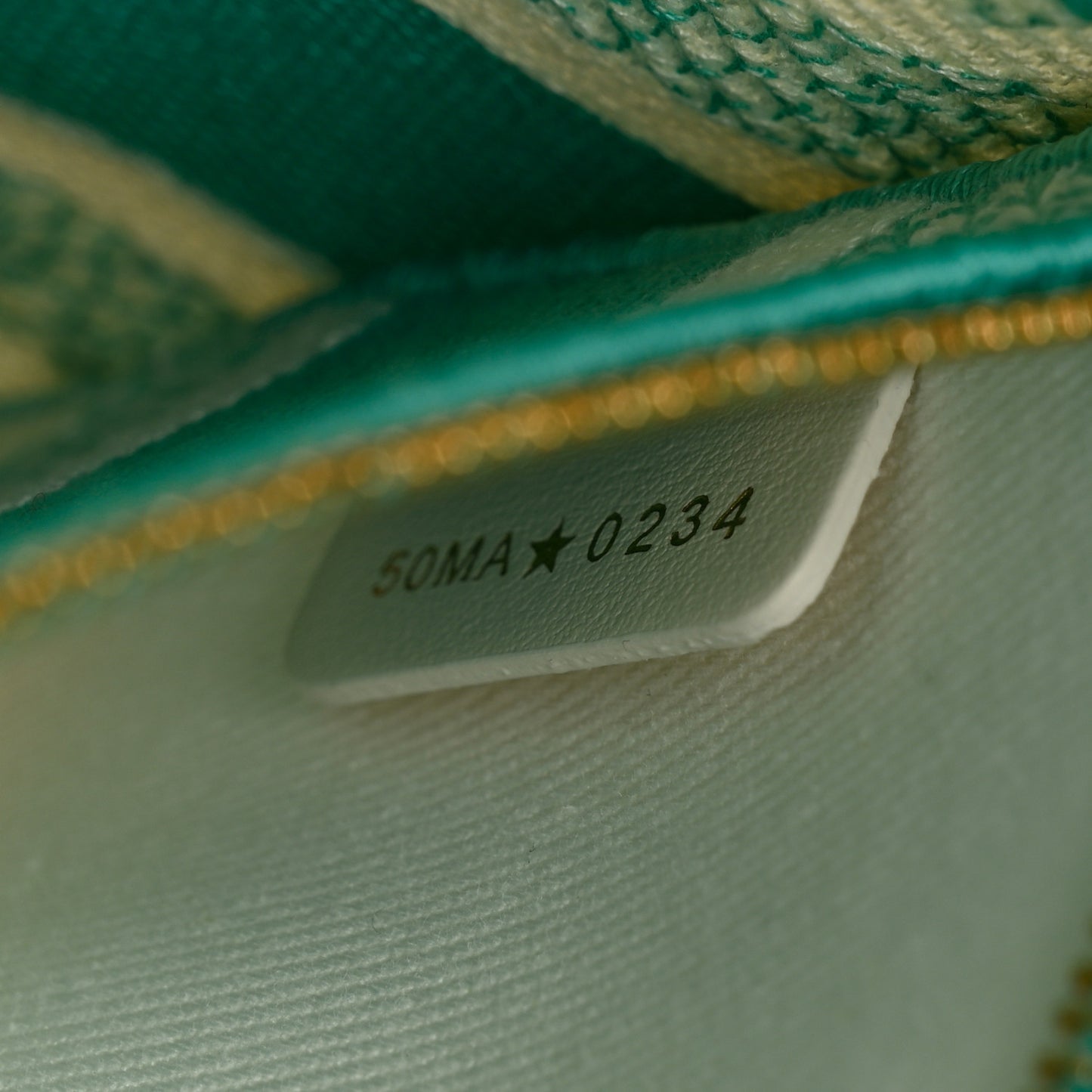 Canvas Toile De Jouy Embroidered Medium Lady D-Lite Aquamarina