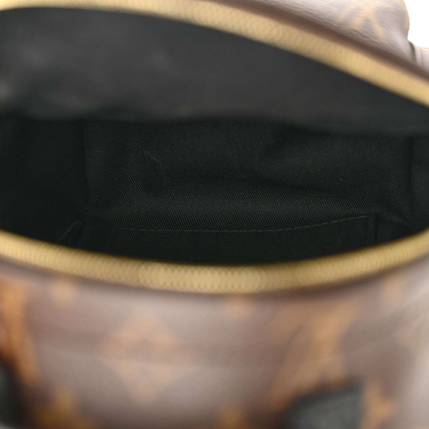 Louis Vuitton Monogram Palm Springs Backpack Mini 5 of 10