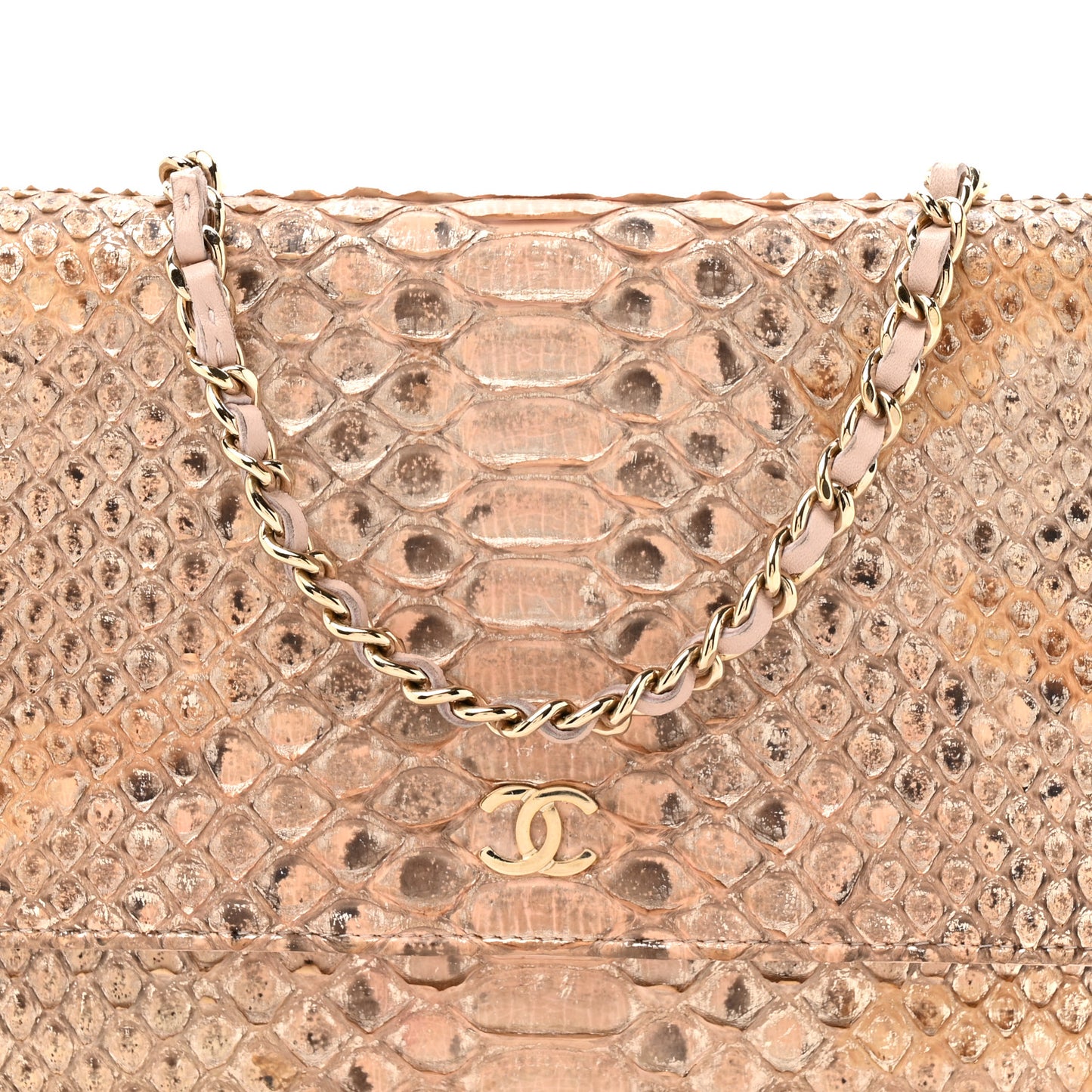 Metallic Snakeskin Wallet On Chain WOC Ivory Gold
