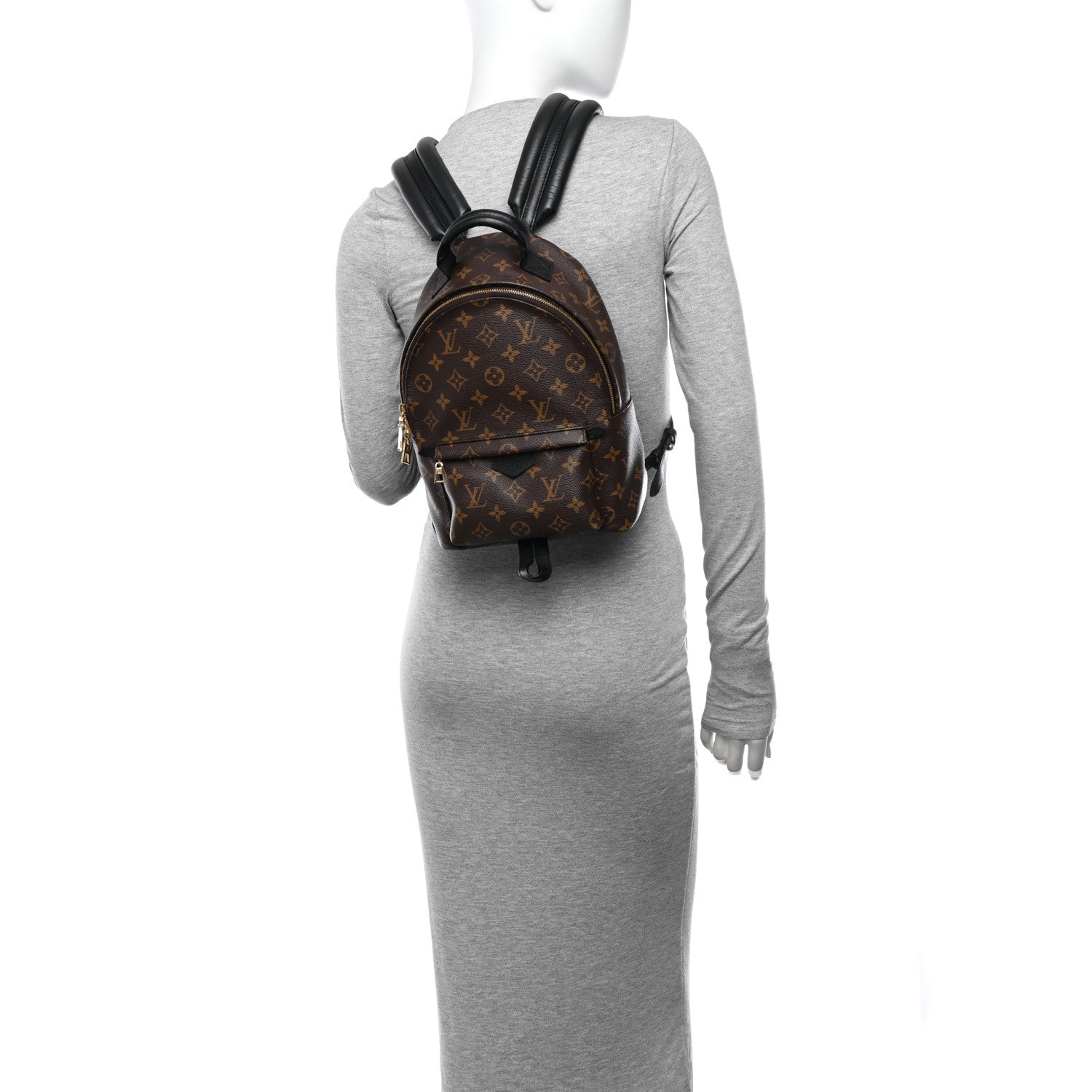 Louis Vuitton Monogram Palm Springs Backpack PM 2 of 10