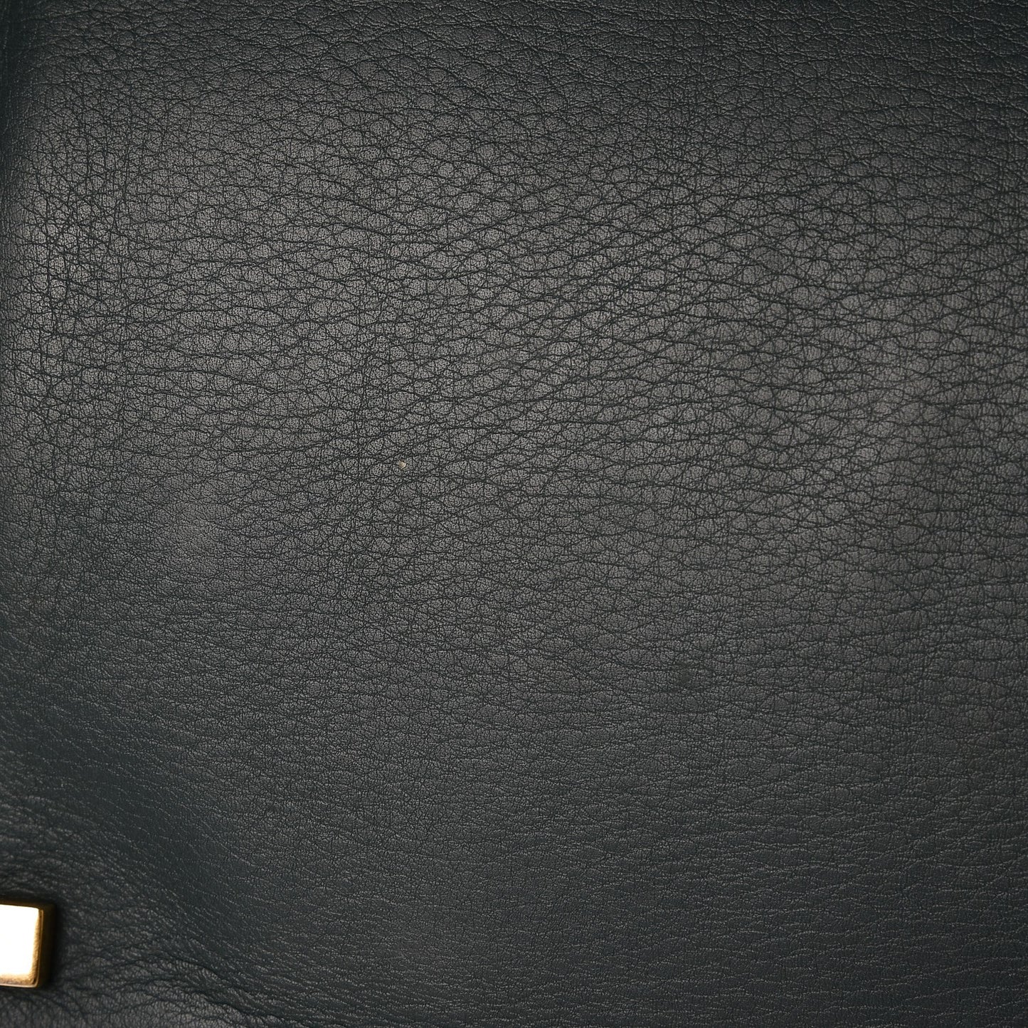 Supple Calfskin Medium Phantom Luggage Bottle Green