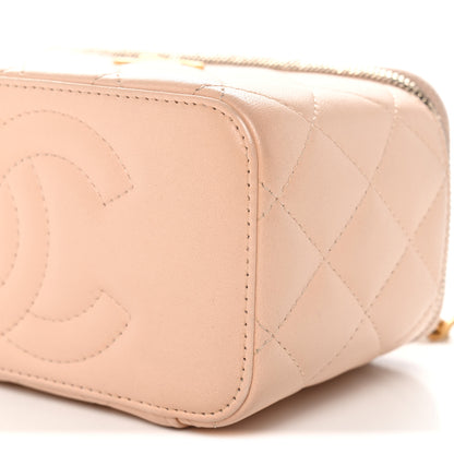 Chanel Lambskin Quilted Sweet Camellia Small Vanity Case With Chain Pink 10 of 11