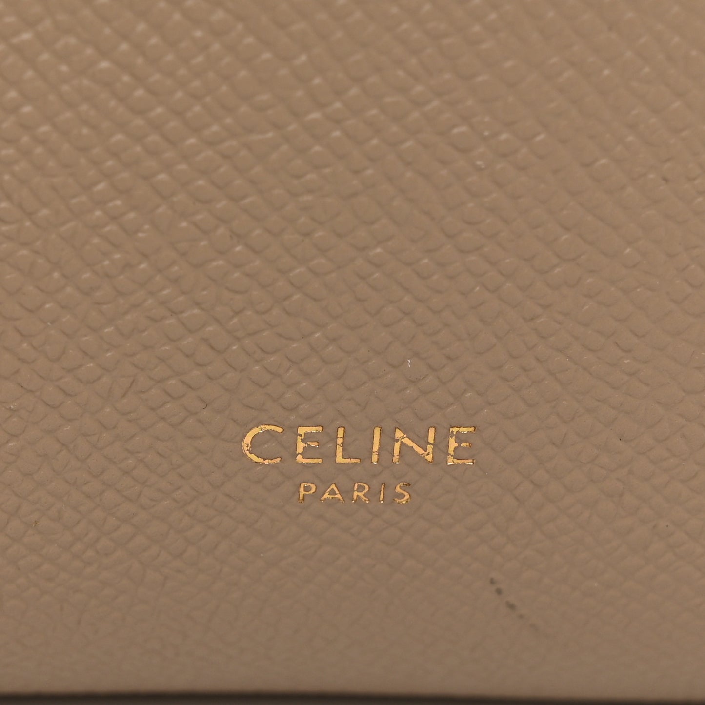 Grained Calfskin Pico Belt Bag Light Taupe