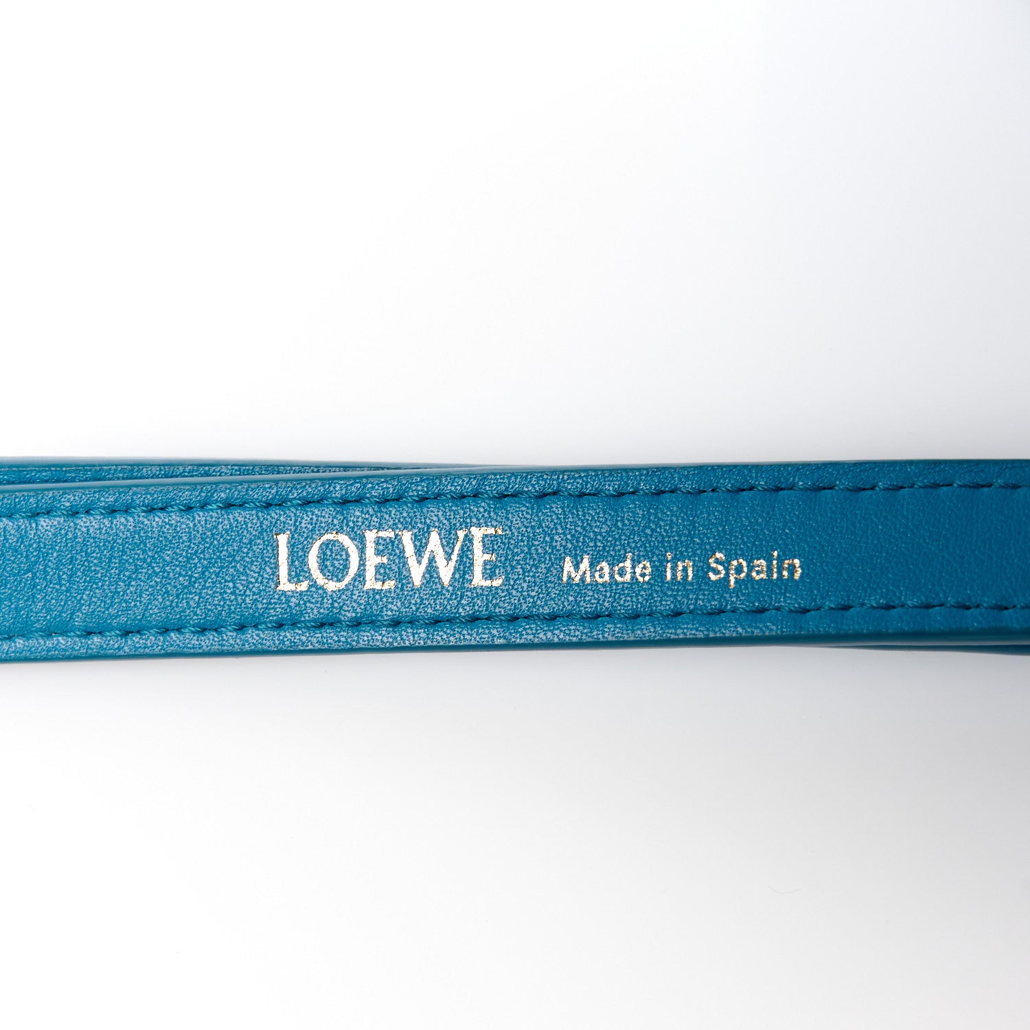 Loewe Calfskin Amazona 19 Lagoon Blue 7 of 11