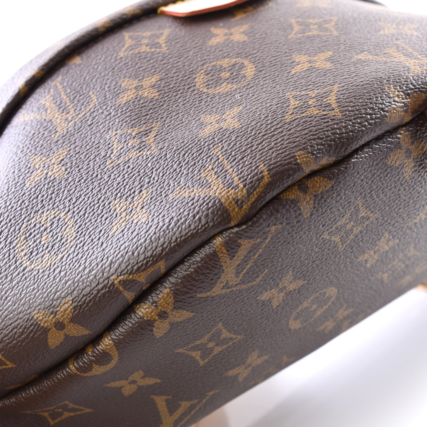 Monogram Bumbag