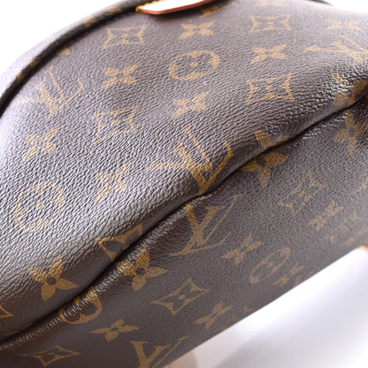 Louis Vuitton Monogram Bumbag 6 of 8