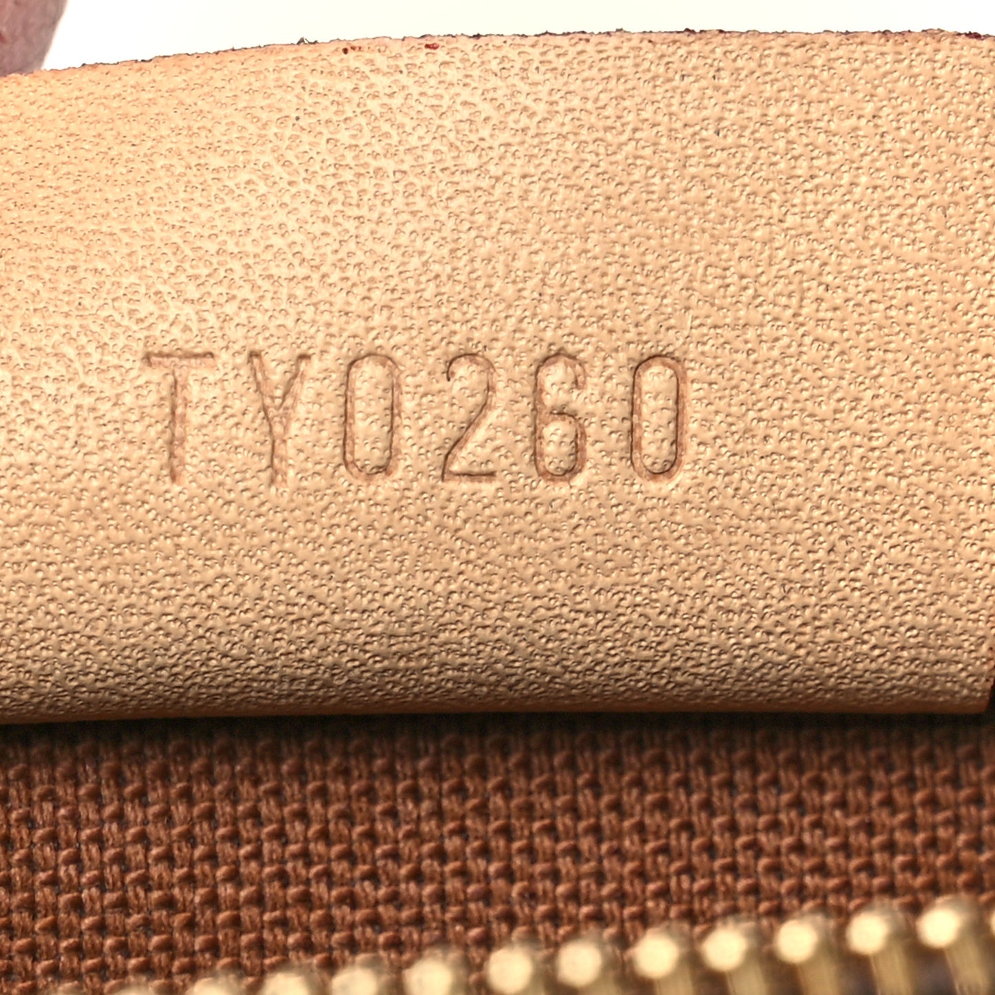 Monogram Nano Speedy