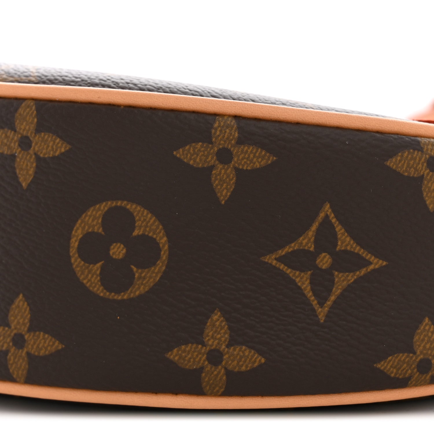 Louis Vuitton Monogram Loop 9 of 10