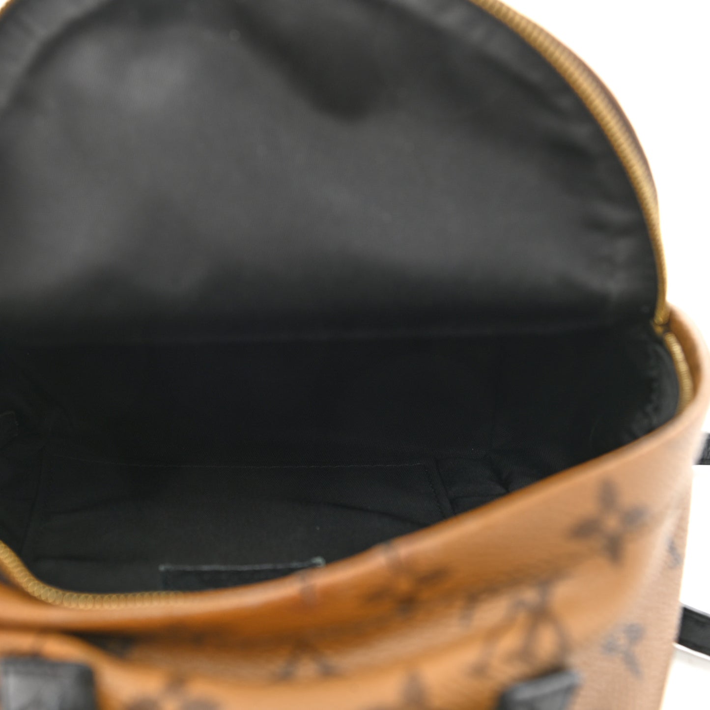 Reverse Monogram Palm Springs Backpack Mini