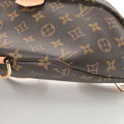 Louis Vuitton Monogram Bumbag 10 of 12