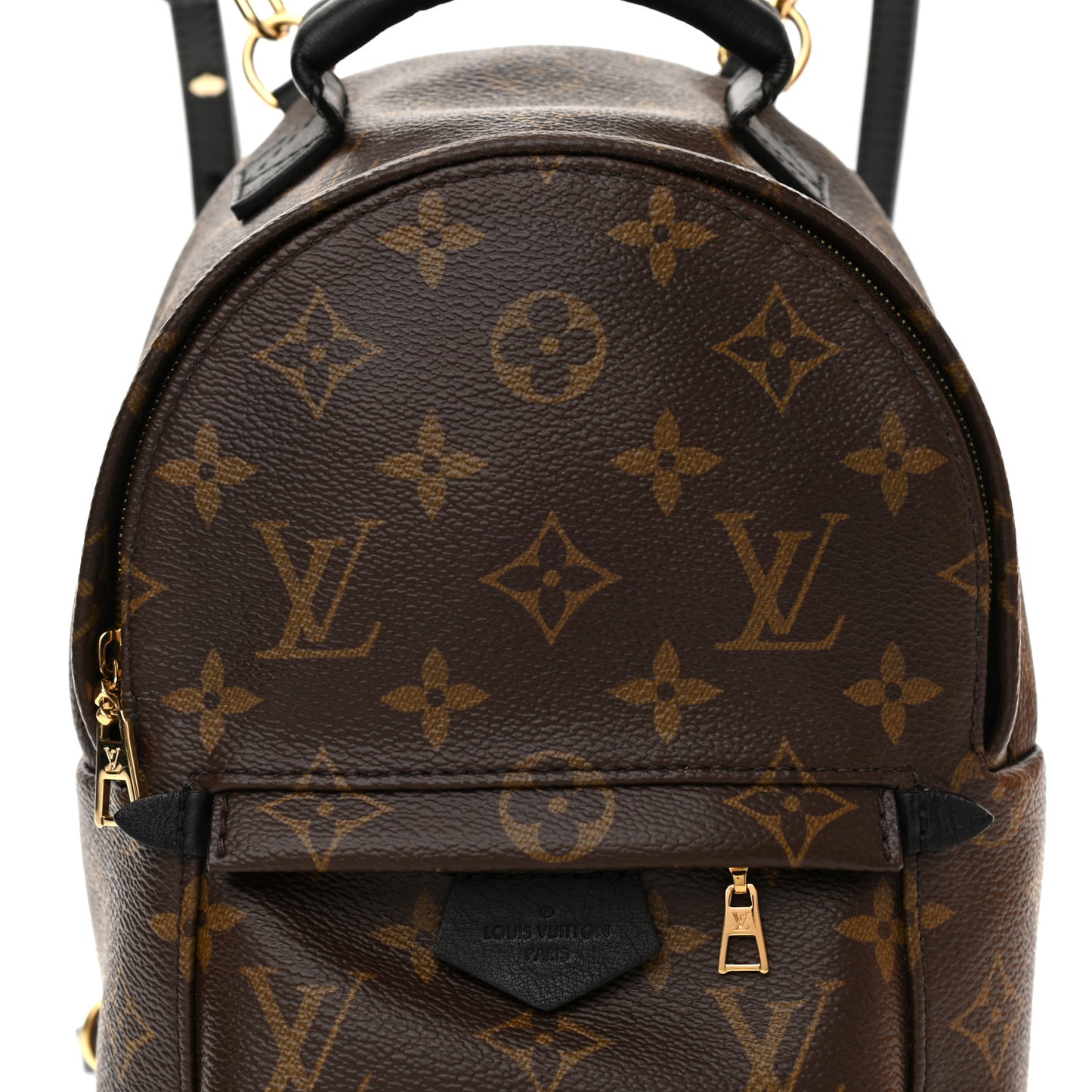 Monogram Palm Springs Backpack Mini