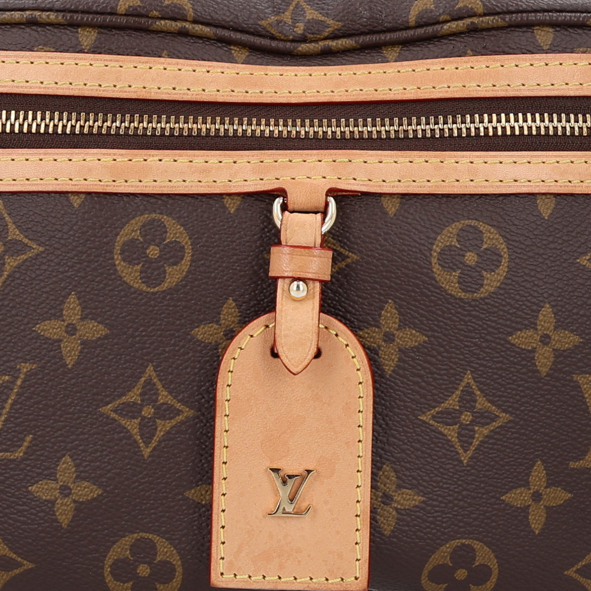Louis Vuitton Monogram High Rise Bumbag 7 of 9
