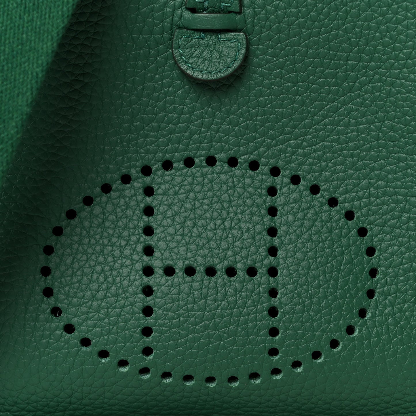 Taurillon Clemence Evelyne TPM Vert Vertigo