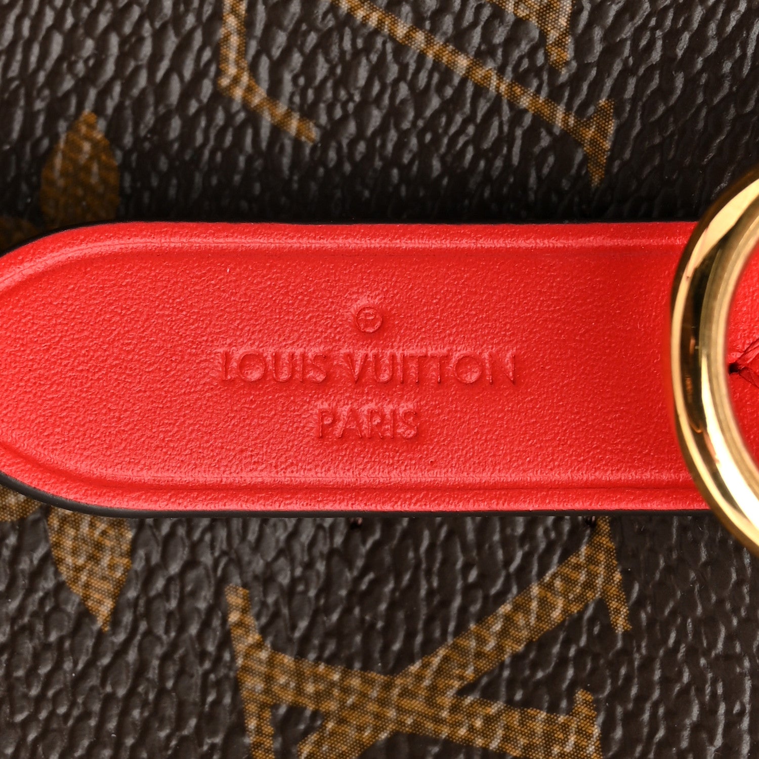 Louis Vuitton Monogram My LV World Tour Neonoe Coquelicot 6 of 10