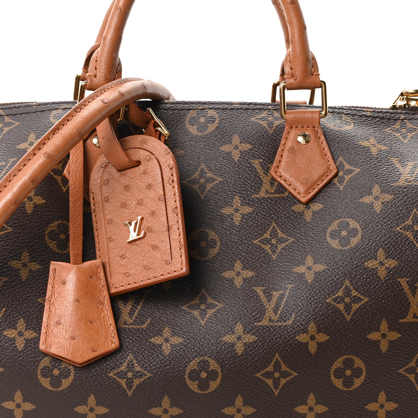Monogram Speedy Soft 30 Boho