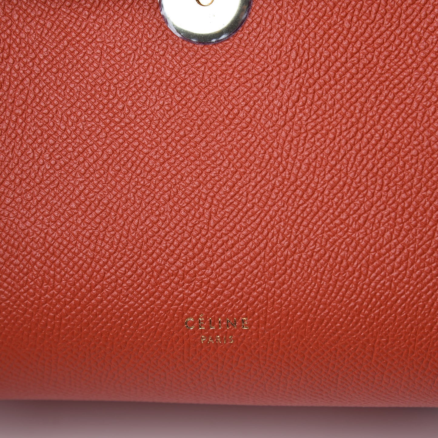 Grained Calfskin Nano Belt Bag Terracotta
