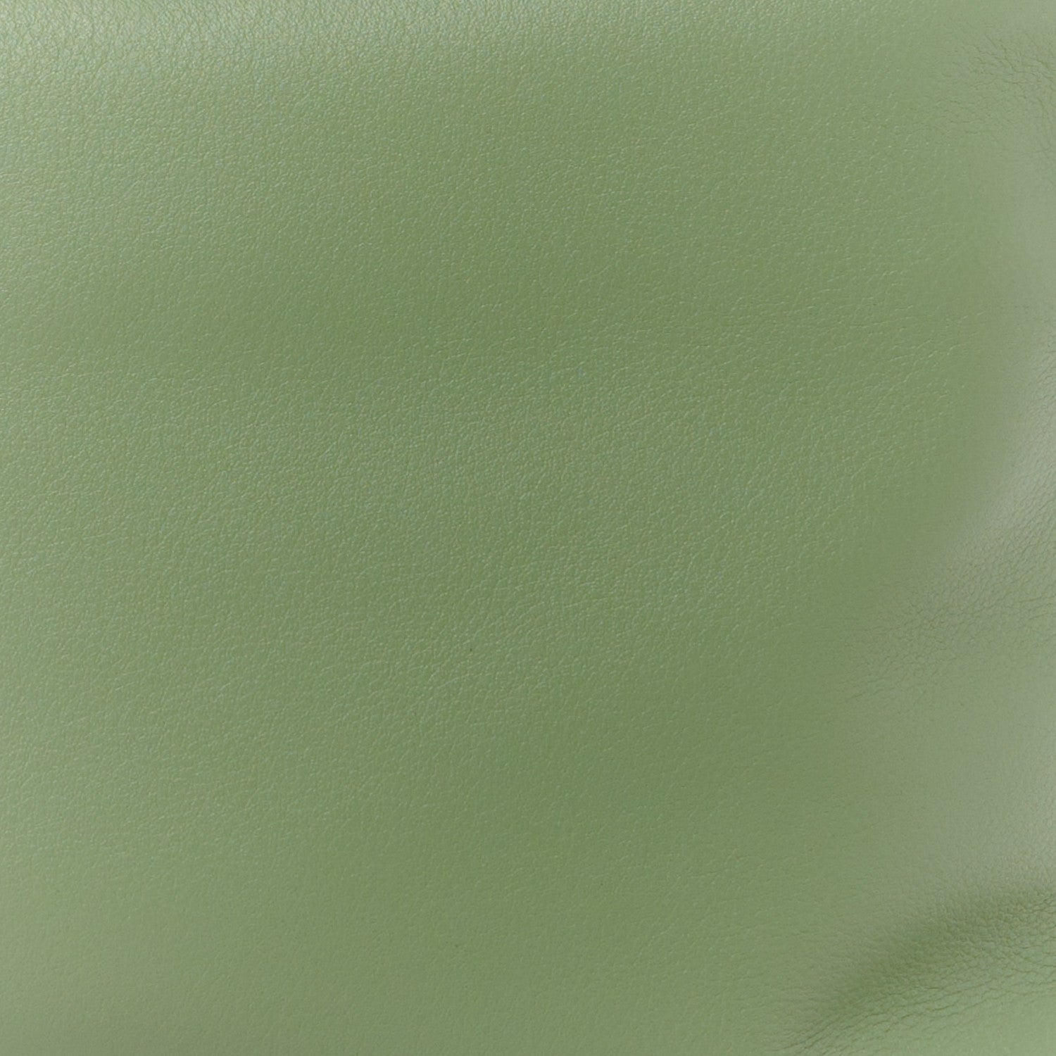 Loewe Calfskin Mini Flamenco Knot Clutch Rosemary 9 of 11