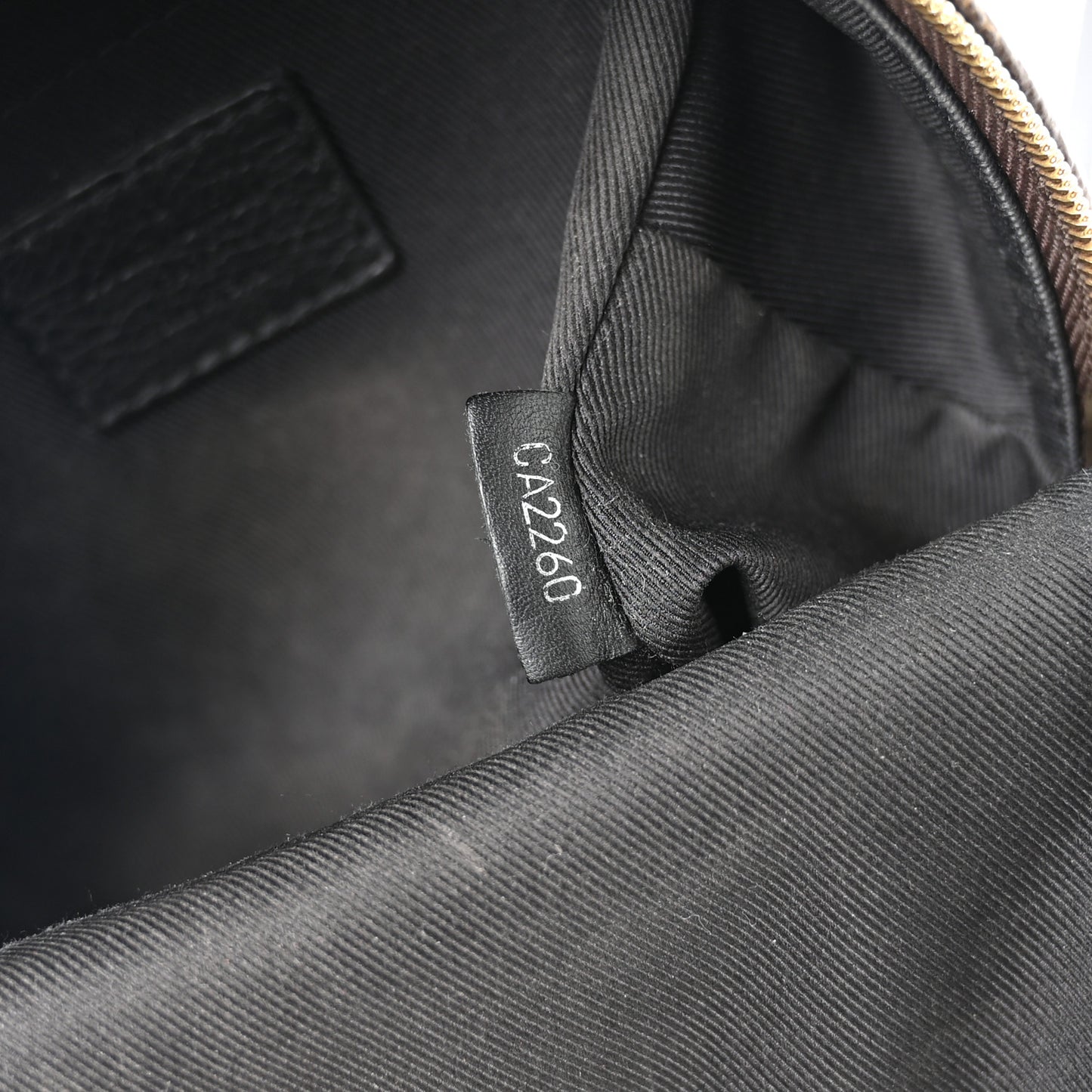Monogram Palm Springs Backpack Mini