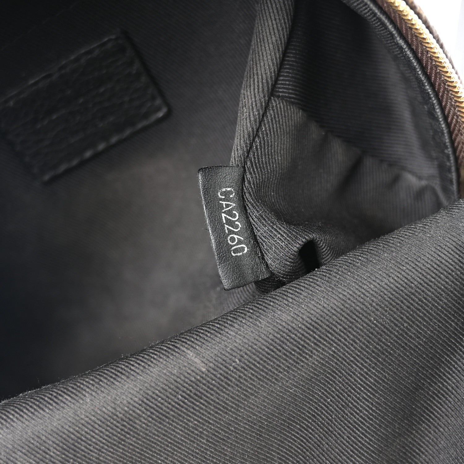Louis Vuitton Monogram Palm Springs Backpack Mini 12 of 23