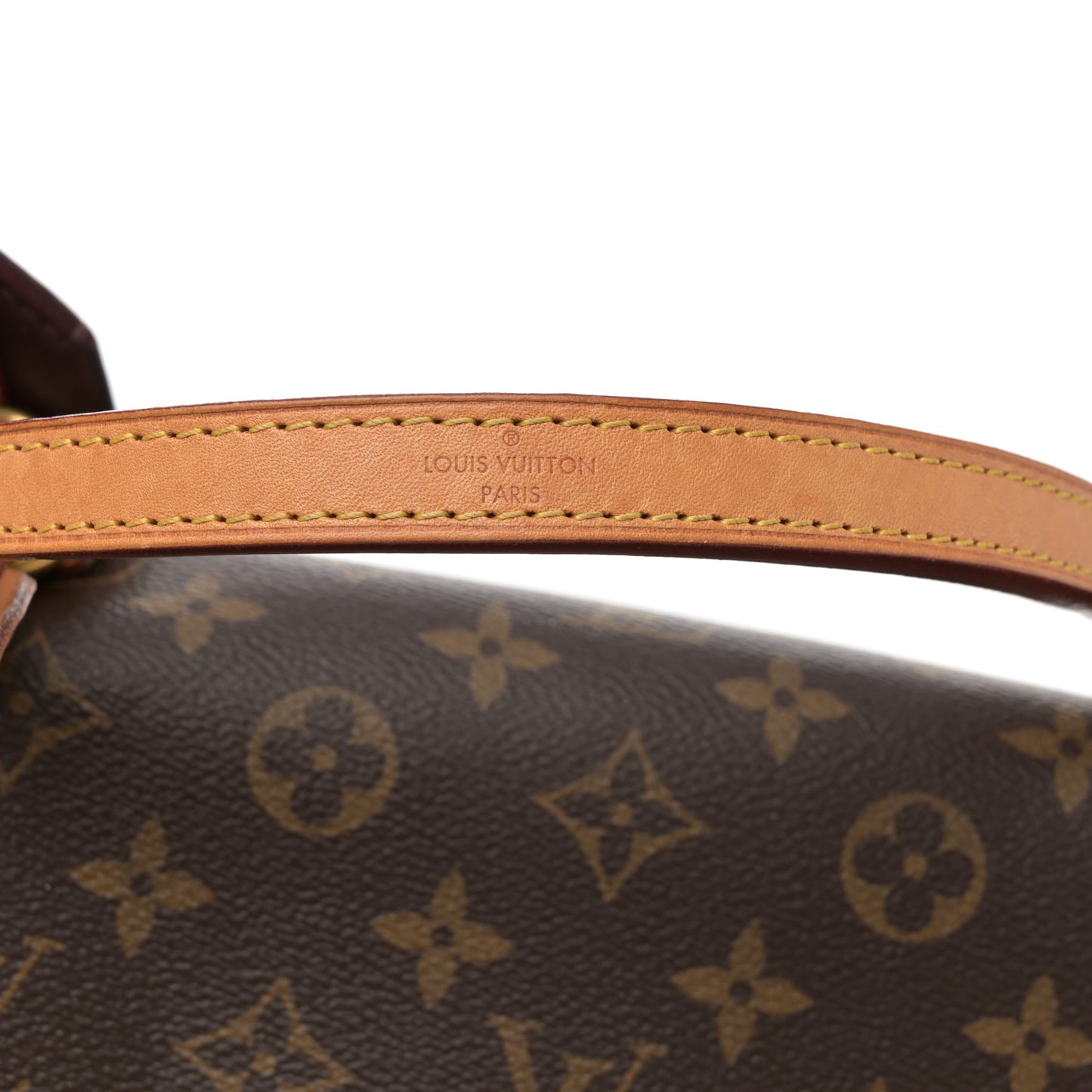 Monogram Cluny MM Blue Glacial
