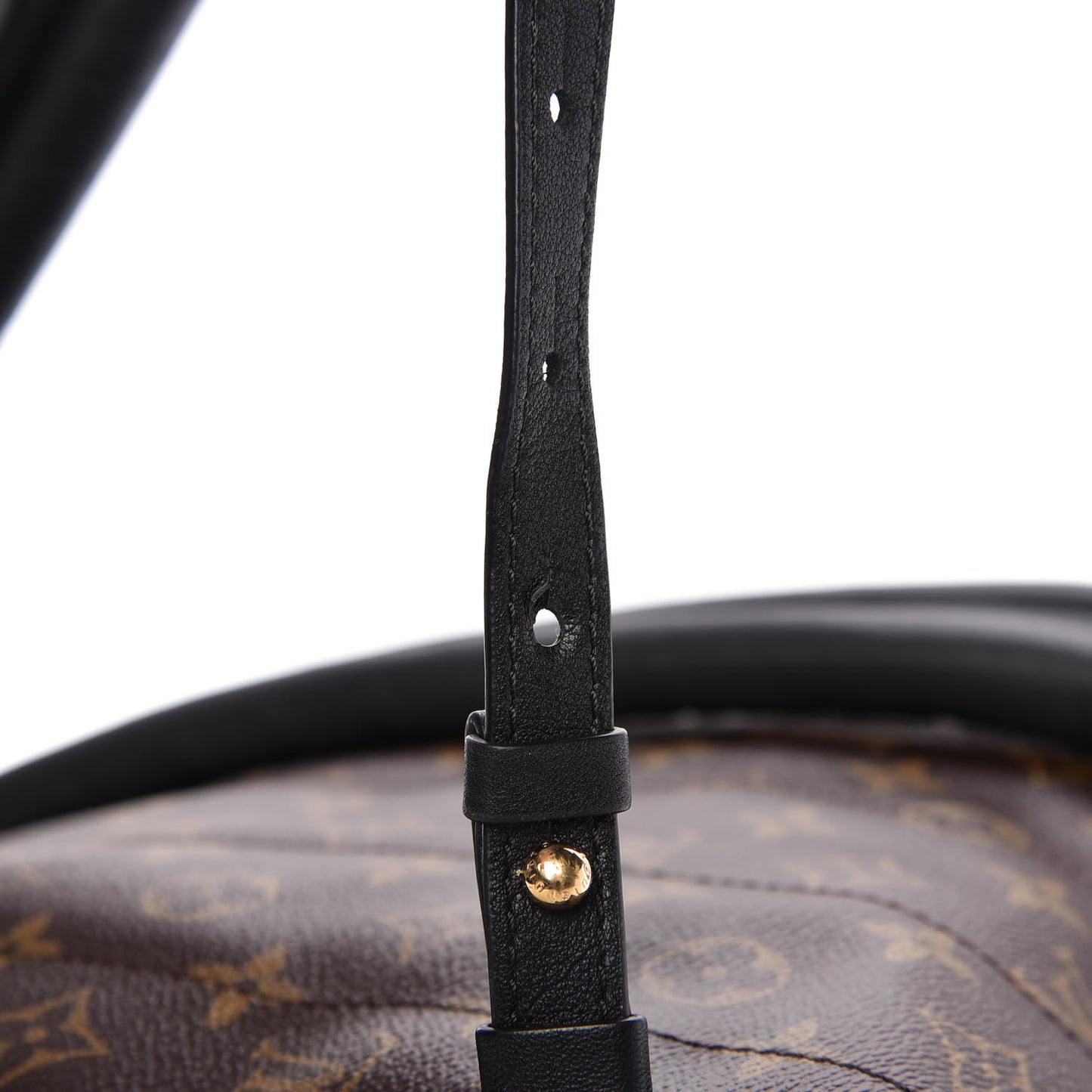 Monogram Palm Springs Backpack MM