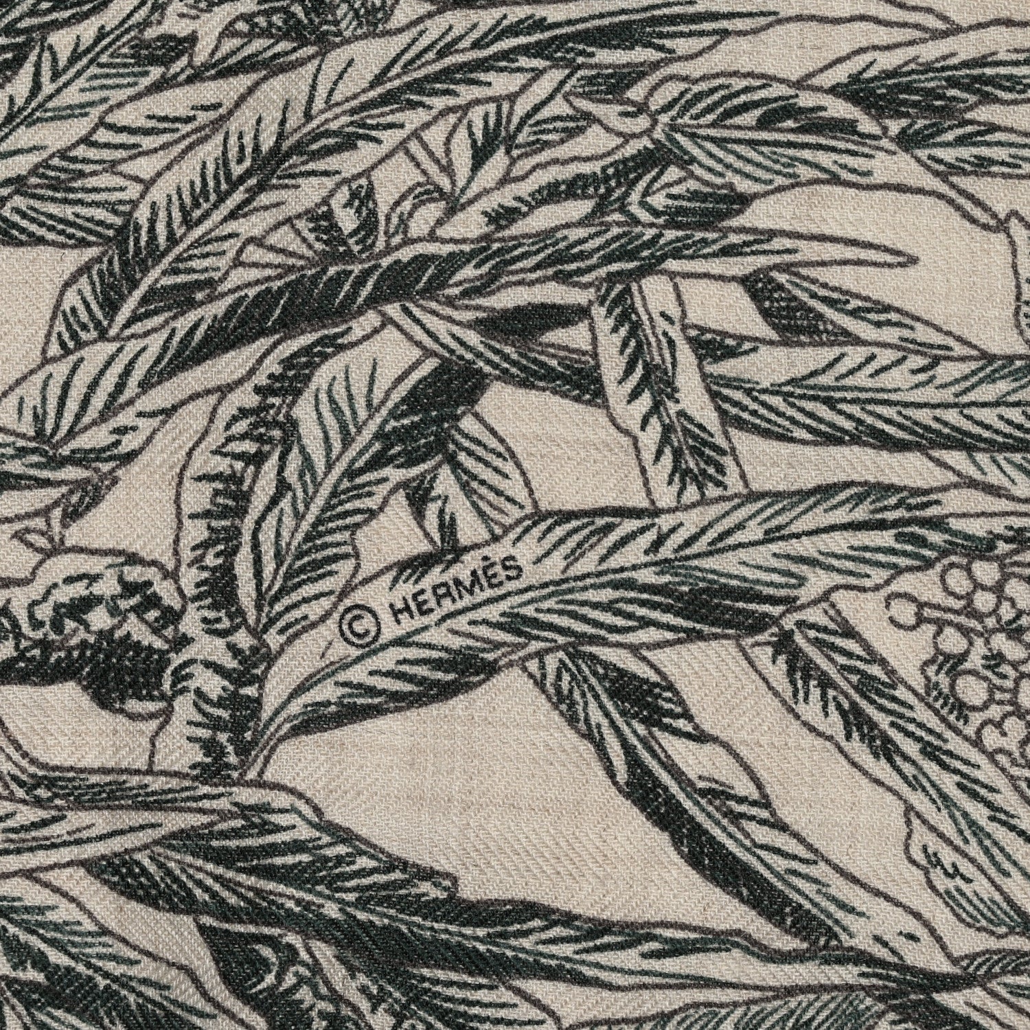 Hermes Cashmere Silk All 'Orto Botanico Di Palermo Shawl 140 Vert Loden Naturel Encre 4 of 5