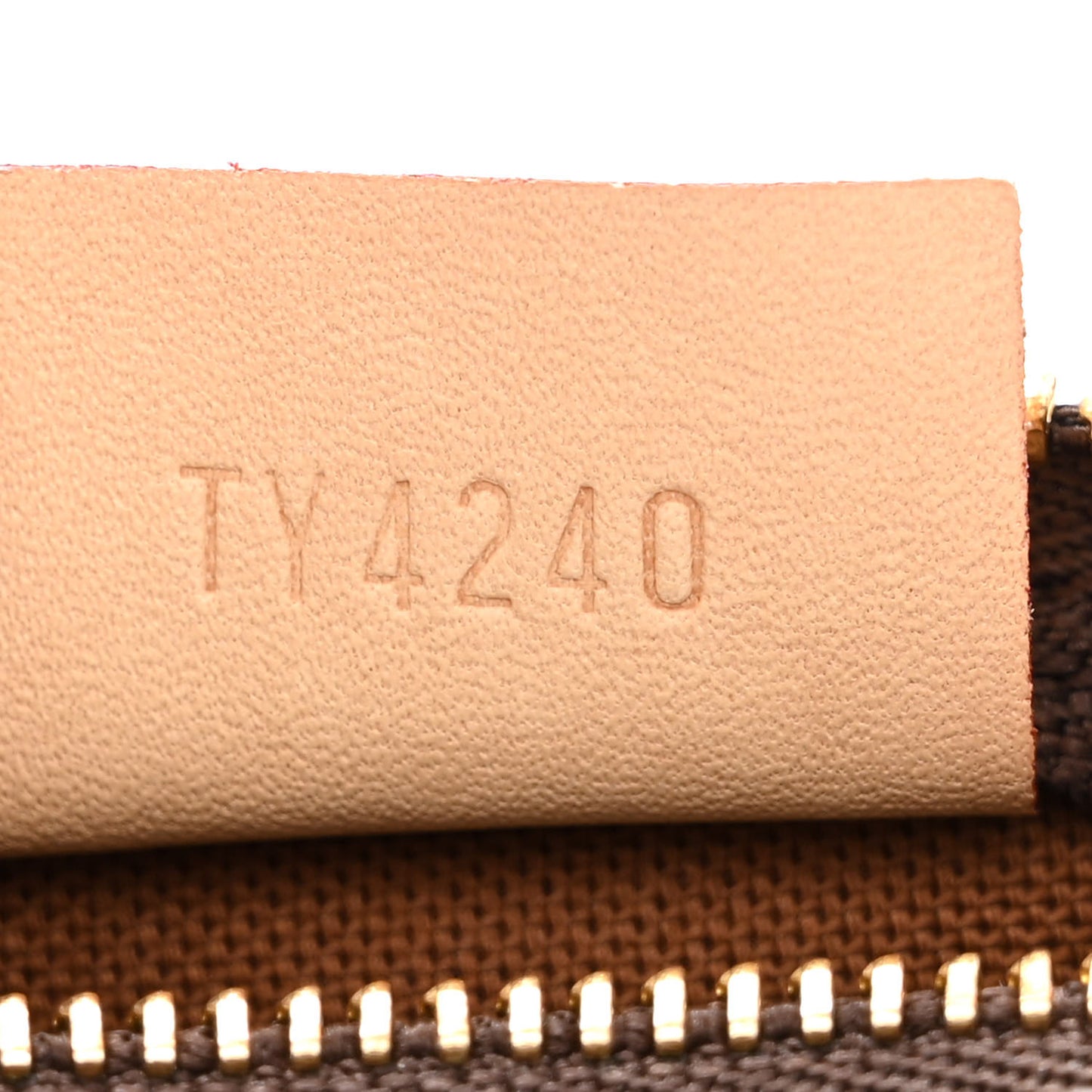 Monogram Nano Speedy