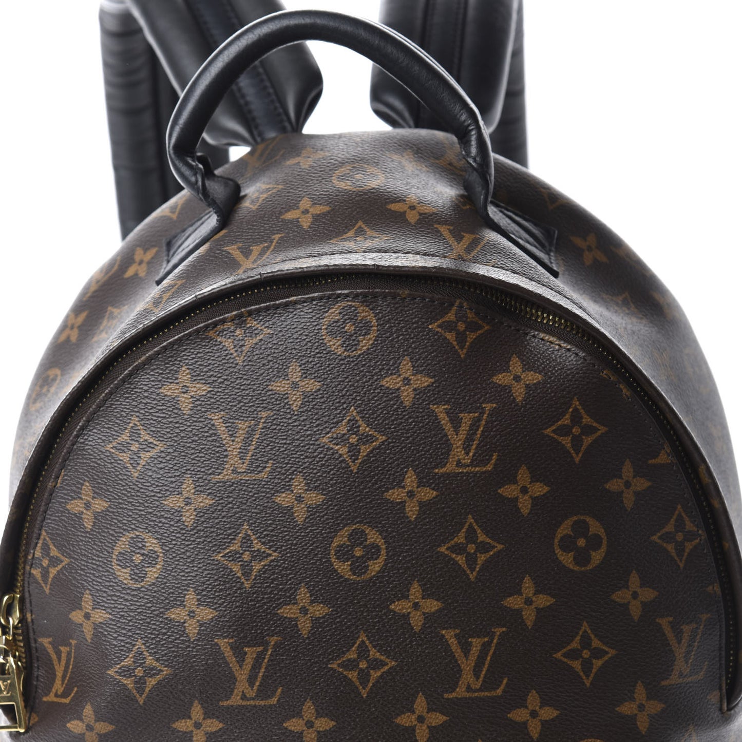 Monogram Palm Springs Backpack MM