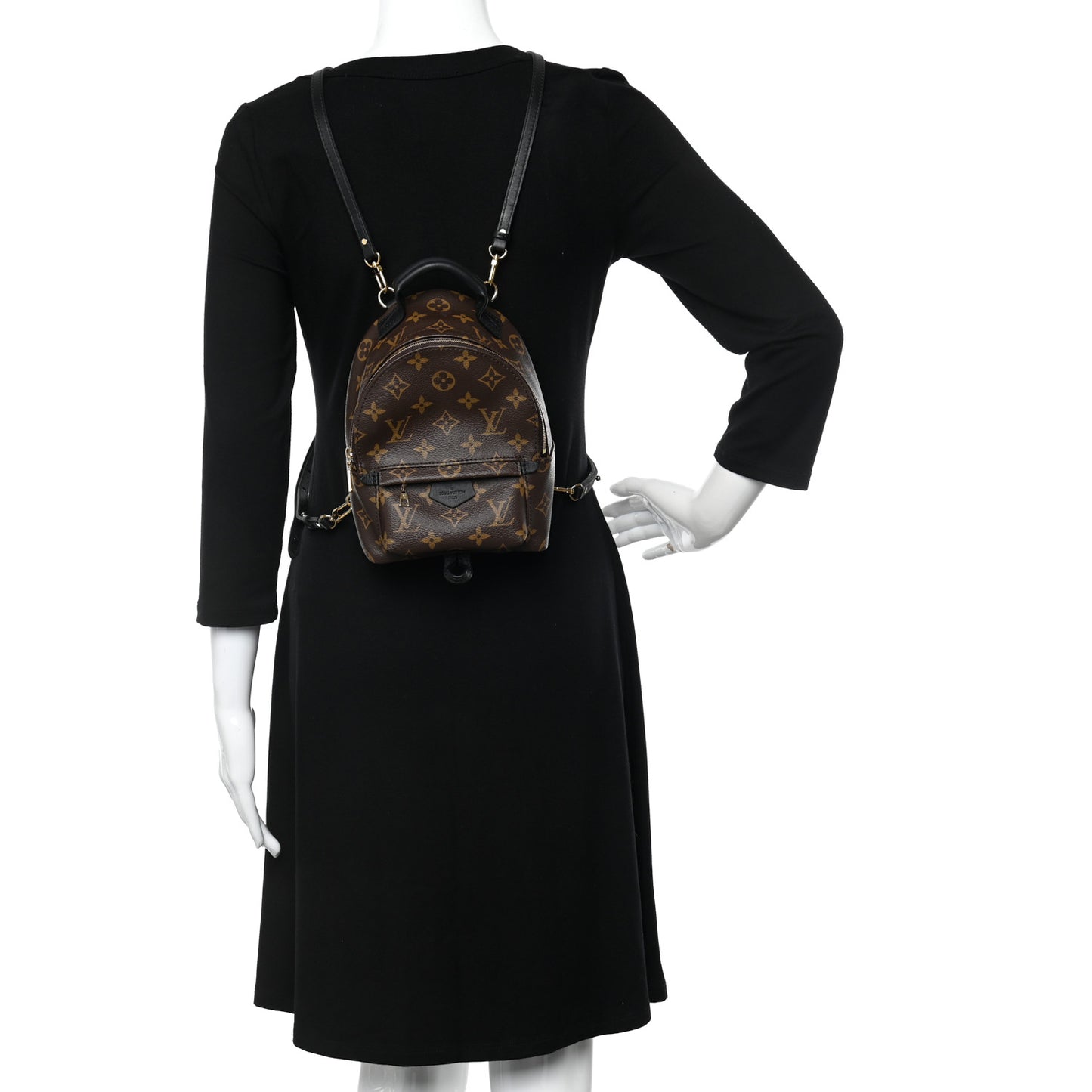 Monogram Palm Springs Backpack Mini