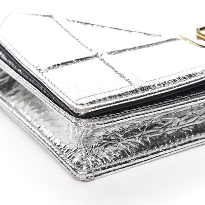 Christian Dior Metallic Ceramic Effect Deerskin Diorama Wallet on Chain Pouch Silver 9 of 11