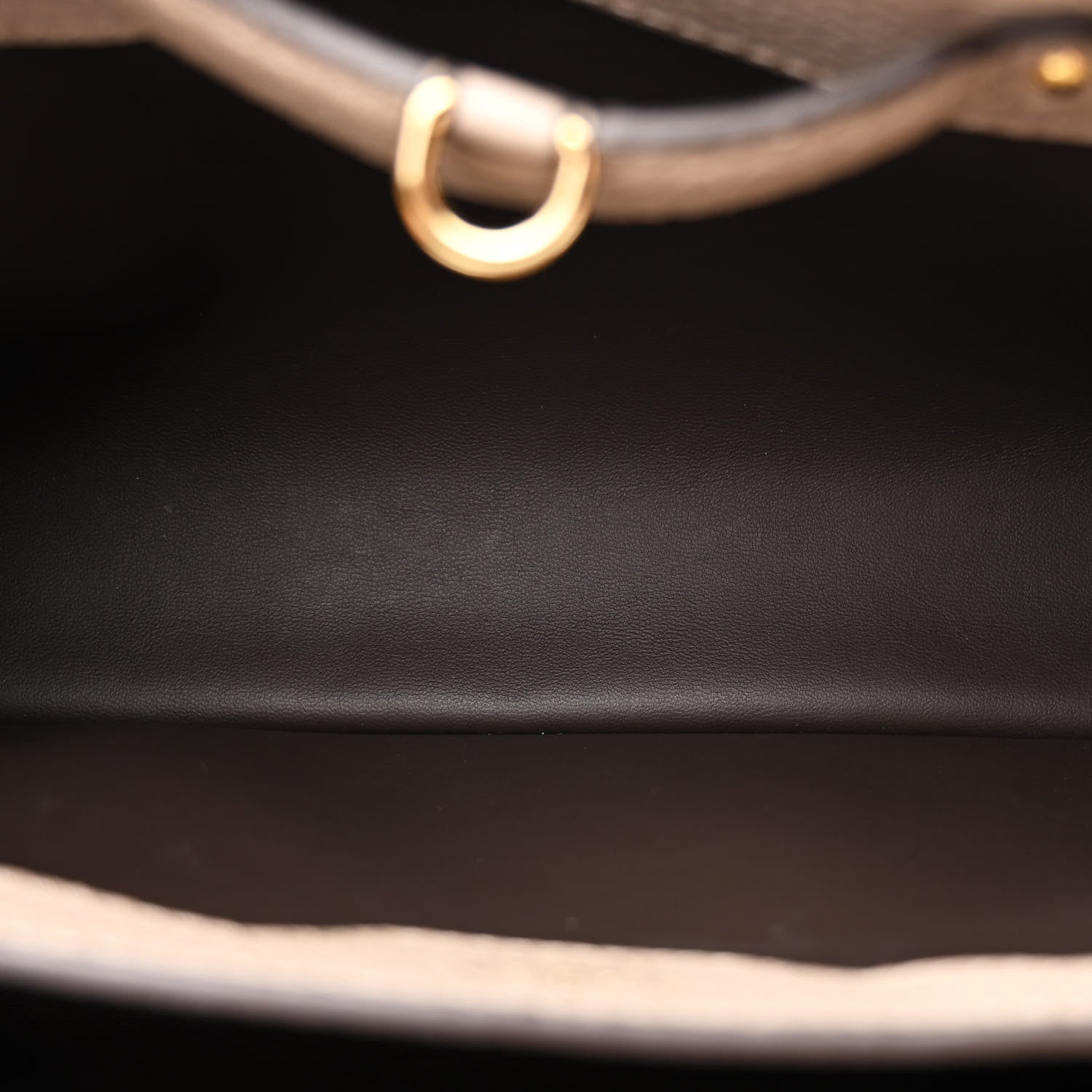 Louis Vuitton Taurillon Python Capucines MM Galet 5 of 10