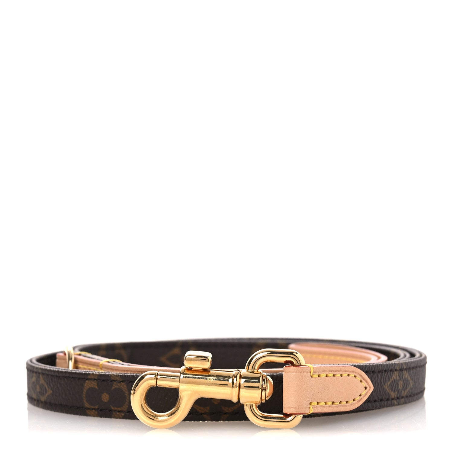 Louis Vuitton Monogram Dog Leash PM 1 of 6