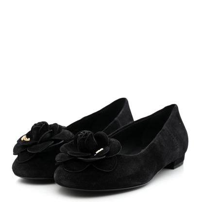 Chanel Suede Camellia CC Ballerina Flat 36.5 Black 3 of 8
